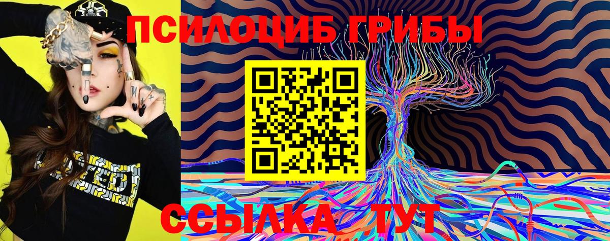 Галлюциногенные грибы GOLDEN TEACHER Аргун