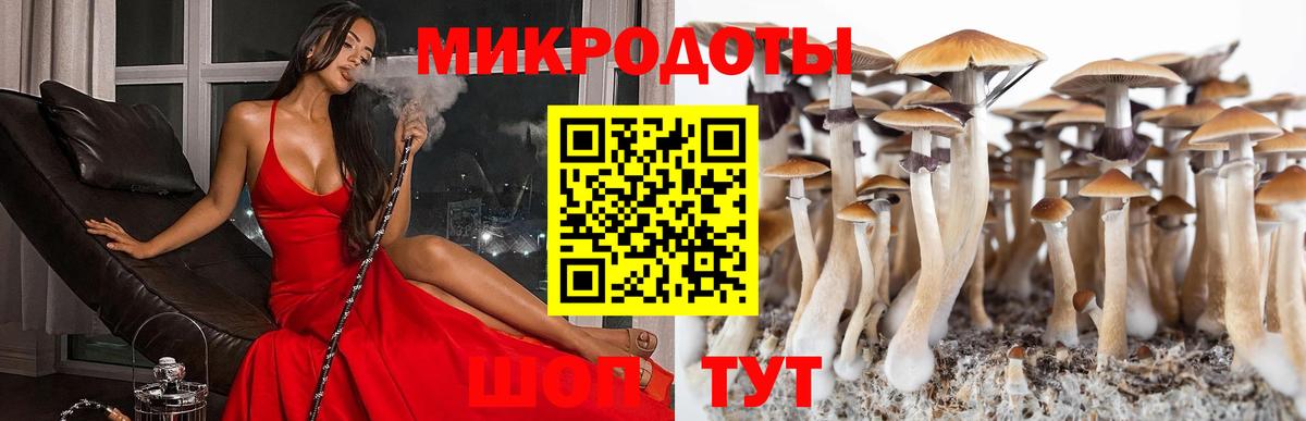 Псилоцибиновые грибы мухоморы  Вход с VPN  как найти   Аргун  Галлюциногенные грибы MAGIC MUSHROOMS 